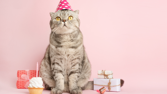 7 Creative Ways to Make Your Gift Exchange More Magical (Hint: Unicorns Help!)