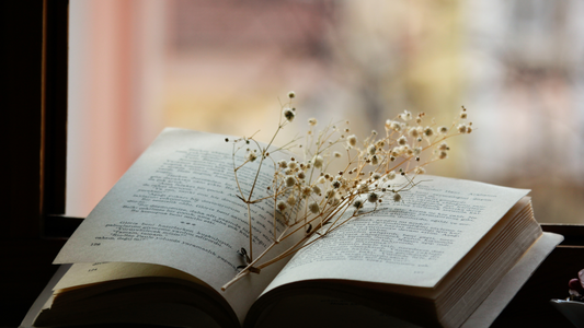 Quirky Gifts That Spark Joy: Why Unique Surprises Matter (Especially for Book Lovers!)