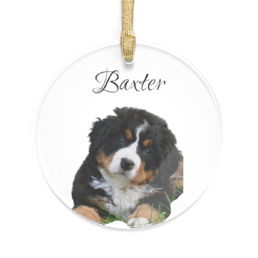 Pet Christmas Acrylic Ornaments